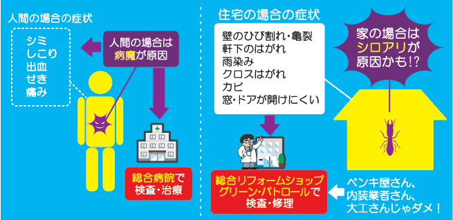 雨漏り、シロアリ被害対策