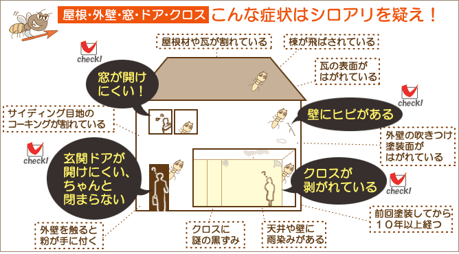 こんな症状はシロアリを疑え