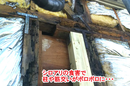 屋根修理·シロアリ改修工事　施工事例